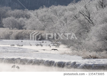 Tsurui Village in the dead of winter - Yukiri River sparkling with frost, seen from Otowa Bridge Tsurui Village in the dead of winter - Yukiri River sparkling with frost, seen from Otowa Bridge 135473005