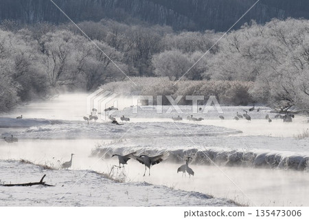 Tsurui Village in the dead of winter - Yukiri River sparkling with frost, seen from Otowa Bridge Tsurui Village in the dead of winter - Yukiri River sparkling with frost, seen from Otowa Bridge 135473006