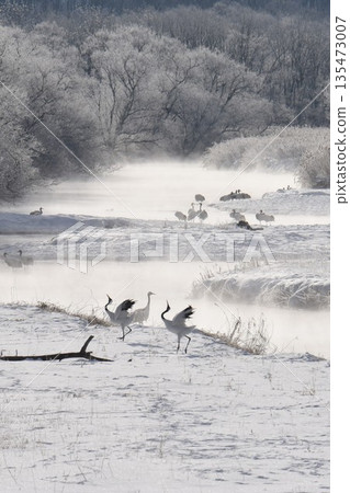 Tsurui Village in the dead of winter - Yukiri River sparkling with frost, seen from Otowa Bridge Tsurui Village in the dead of winter - Yukiri River sparkling with frost, seen from Otowa Bridge 135473007