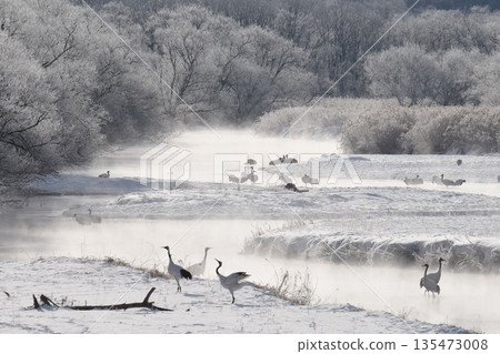 嚴冬的鶴井村-從音羽橋眺望,雪裡川在霜凍的映襯下閃閃發光。 嚴冬的鶴井村-從音羽橋眺望,雪裡川在霜凍的映襯下閃閃發光。 135473008