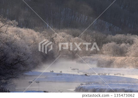 從音羽橋看到的由希佐川的隆冬暴風雨 從音羽橋看到的由希佐川的隆冬暴風雨 135473062