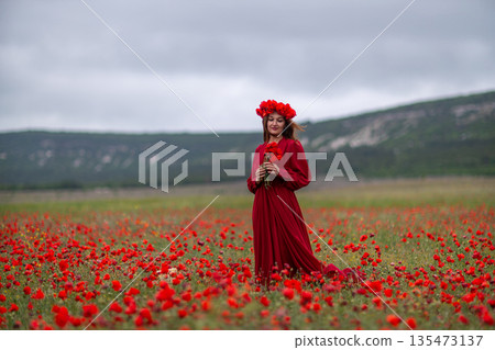 Woman red dress poppy field cloudy sky artistic portrait 135473137