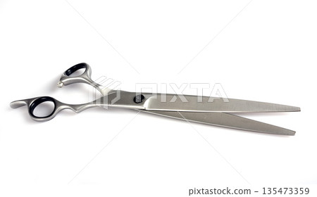 pair of scissors in studio pair of scissors in studio 135473359