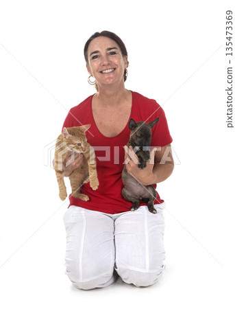 miniature bull terrier, kitten and woman in studio 135473369