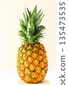 菠蘿 135473535