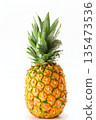 菠蘿 135473536
