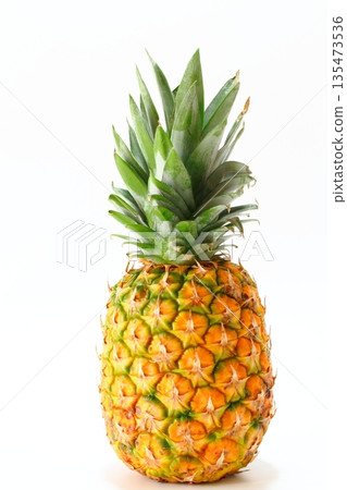 pineapple  135473536