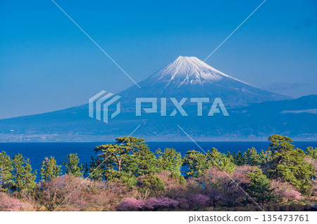 (靜岡縣)從西水井田眺望,富士山被皚皚白雪覆蓋。 (靜岡縣)從西水井田眺望,富士山被皚皚白雪覆蓋。 135473761