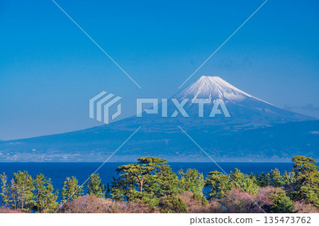 (Shizuoka Prefecture) Mount Fuji covered in fresh snow seen across the sea from Nishiizu Ida (Shizuoka Prefecture) Mount Fuji covered in fresh snow seen across the sea from Nishiizu Ida 135473762