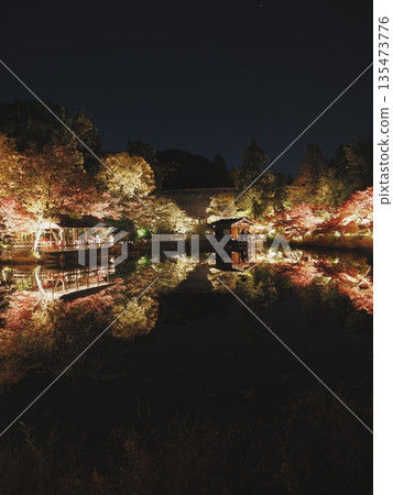 Higashiyama Zoo and Botanical Gardens (Okuike pond illumination) Higashiyama Zoo and Botanical Gardens (Okuike pond illumination) 135473776