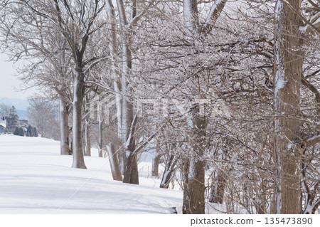 Snow-covered trees and snowy scenery Snow-covered trees and snowy scenery 135473890