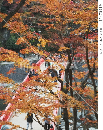 Korankei (Machigetsu Bridge) 135473919