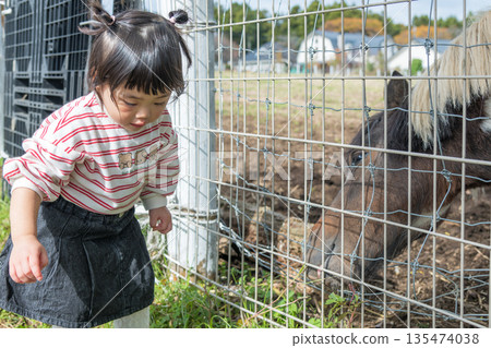 [正在吃草的馬和兩歲小孩] 135474038