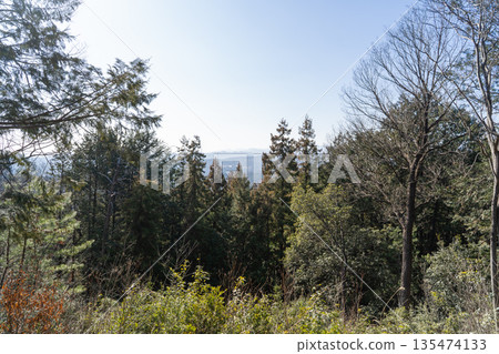 從柏木山富士見山眺望的景色（奧武藏） 135474133