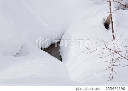 北海道:仲冬時的原始森林 北海道:仲冬時的原始森林 135474398