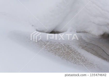 北海道：仲冬時的原始森林 135474642