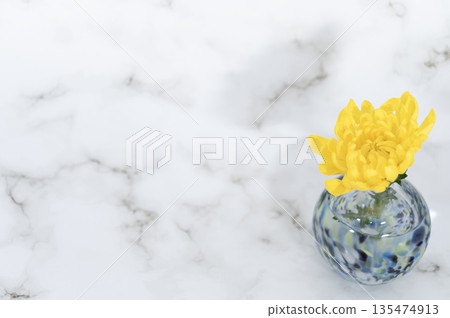 (右圖)一束插在冷色調玻璃花瓶中的黃色菊花 (右圖)一束插在冷色調玻璃花瓶中的黃色菊花 135474913