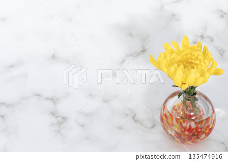 暖色玻璃花瓶中的黃色菊花（右圖） 135474916