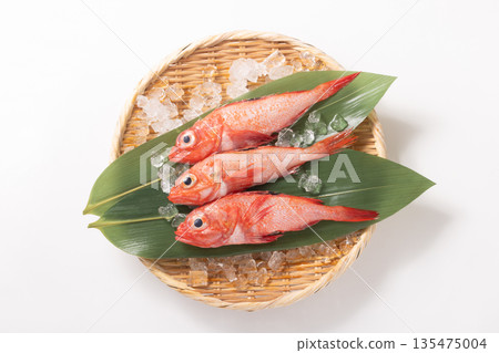 [岩手縣] 吉次小（烹飪用） 135475004