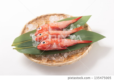 [Iwate Prefecture] Yoshitsugu Small (for cooking) 135475005