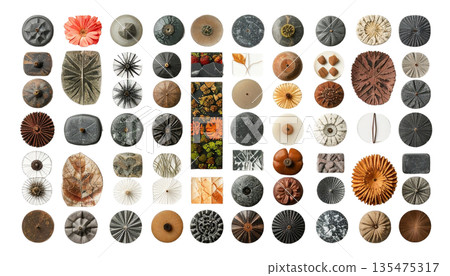 Natural Botanical Collection - Minimalist Patterns of Stones, Leaves, and Flowers 135475317