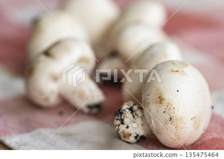fresh white mushrooms on rustic kitchen cloth fresh white mushrooms on rustic kitchen cloth 135475464