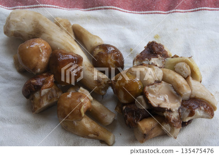 frozen wild porcini mushroom block for smart zero waste cooking 135475476