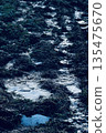 Frozen Ground 135475670