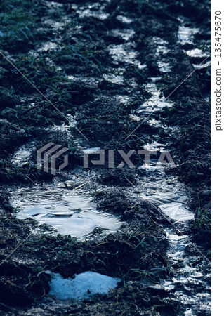 Frozen Ground Frozen Ground 135475670