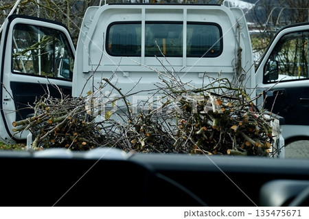 一輛輕型卡車正在運送修剪下來的樹枝。 135475671