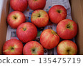Apples in a cardboard box 135475719