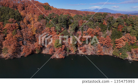 Autumn leaves at Matsubara Lake (aerial view) - Koumi Town, Minamisaku District, Nagano Prefecture, Japan Autumn leaves at Matsubara Lake (aerial view) - Koumi Town, Minamisaku District, Nagano Prefecture, Japan 135475993