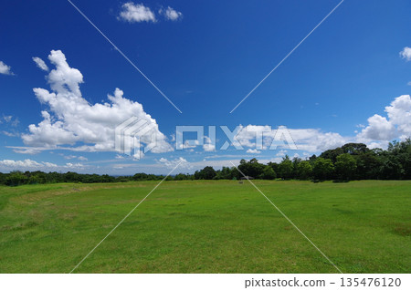 A refreshing blue sky and a grassy area A refreshing blue sky and a grassy area 135476120