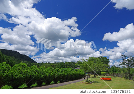 夏天的天空和綠色的公園 夏天的天空和綠色的公園 135476121