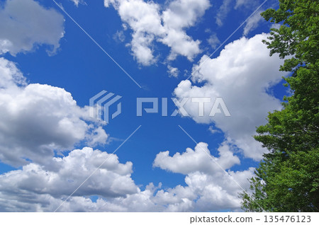 潔白的雲朵漂浮在藍色的夏日的天空 135476123