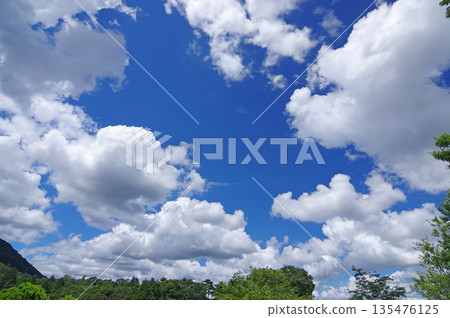 潔白的雲朵漂浮在藍色的夏日的天空 135476125