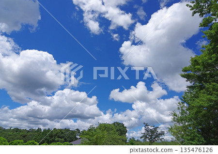 White clouds floating in the blue summer sky 135476126