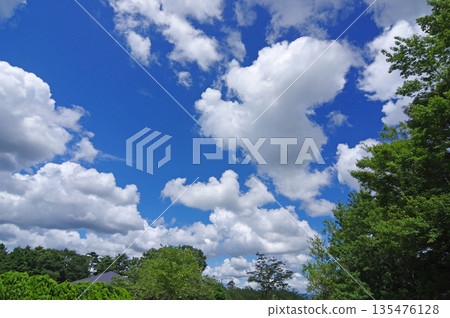 White clouds floating in the blue summer sky 135476128