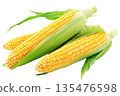 Corn on white background. 135476598
