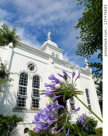 大江大教堂和夏日鮮花（熊本縣天草市） 135476685