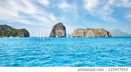 The picturesque landscape of the islands in the Philippines. 135477053