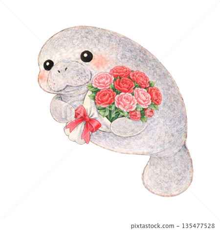 【母親節】色鉛筆插畫，一隻海牛叼著一朵康乃馨 135477528