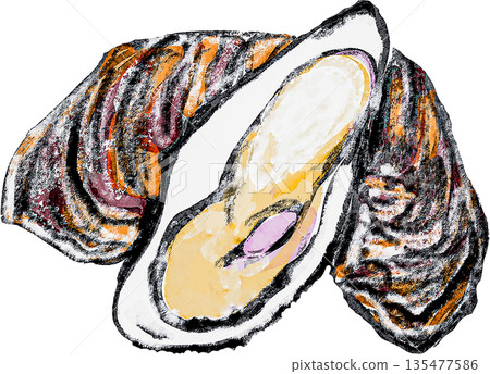 生牡蠣的插圖 135477586