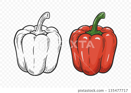 Vector Hand Drawn Cartoon Bell Peppers Set with Outline. Red Sweet Pepper Illustration. Fresh Vegetable for Food Market, Healthy Cooking, Vegetarian Recipe Design, Farm Organic Product Icon 135477717