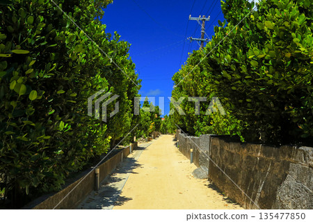 Okinawa 風景 landscape of Tonaki Island 135477850