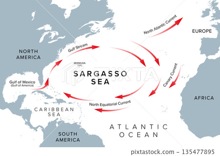 Sargasso Sea, region of Atlantic Ocean, gray map. Sea without land boundaries and ocean gyre, formed and bounded by Gulf Stream, North Atlantic Current, Canary Current, and North Equatorial Current. Sargasso Sea, region of Atlantic Ocean, gray map. Sea without land boundaries and ocean gyre, formed and bounded by Gulf Stream, North Atlantic Current, Canary Current, and North Equatorial Current. 135477895