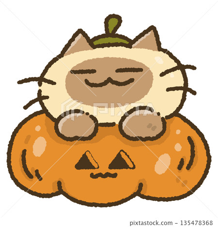 Cat Sitting on Pumpkin Halloween Illustration Cat Sitting on Pumpkin Halloween Illustration 135478368