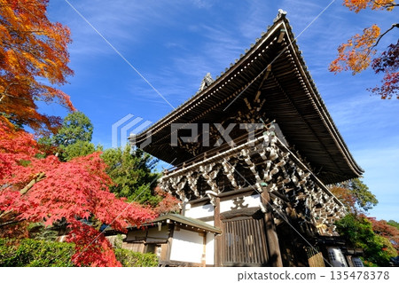 禪寶寺的秋葉 135478378