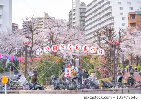Bunkyo Cherry Blossom Festival [Koishikawa and Harimazaka, Bunkyo Ward, Tokyo] 135478646