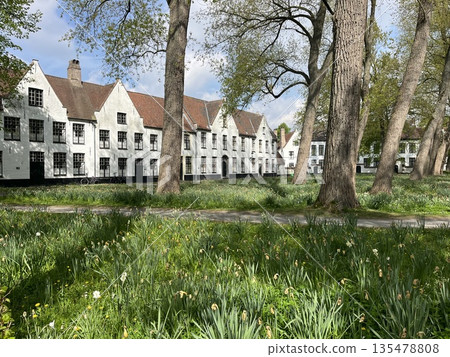 Beguinage in Bruges, Belgium Beguinage in Bruges, Belgium 135478808